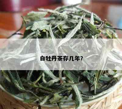 白牡丹茶存几年？