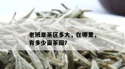 老班章茶区多大，在哪里，有多少亩茶园？