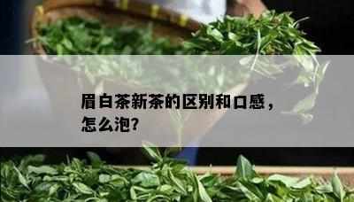 眉白茶新茶的区别和口感，怎么泡？