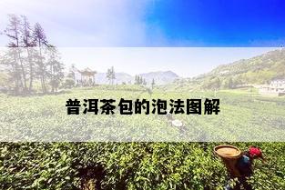 普洱茶包的泡法图解