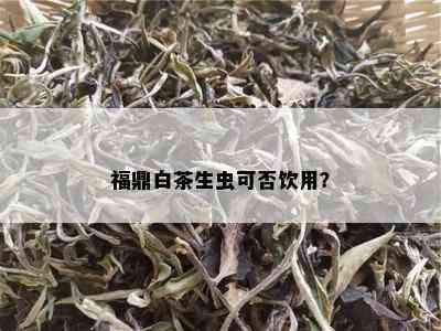 福鼎白茶生虫可否饮用？