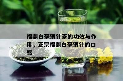 福鼎白毫银针茶的功效与作用，正宗福鼎白毫银针的口感