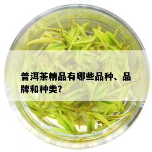 普洱茶精品有哪些品种、品牌和种类？