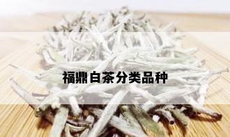 福鼎白茶分类品种