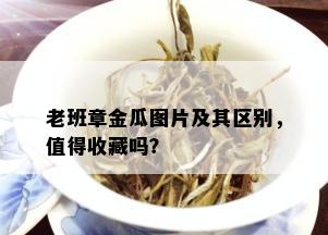 老班章金瓜图片及其区别，值得收藏吗？