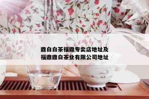 鼎白白茶福鼎专卖店地址及福鼎鼎白茶业有限公司地址