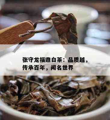 张守龙福鼎白茶：品质越，传承百年，闻名世界