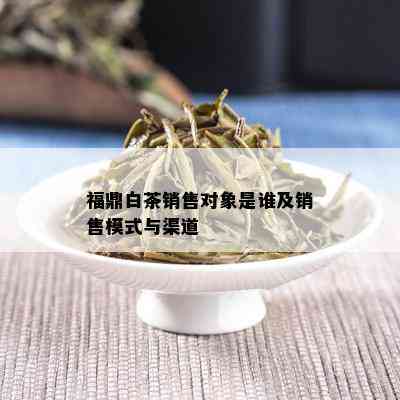 福鼎白茶销售对象是谁及销售模式与渠道