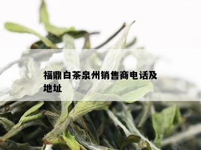 福鼎白茶泉州销售商电话及地址