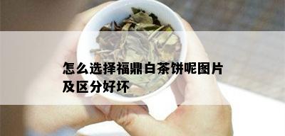 怎么选择福鼎白茶饼呢图片及区分好坏