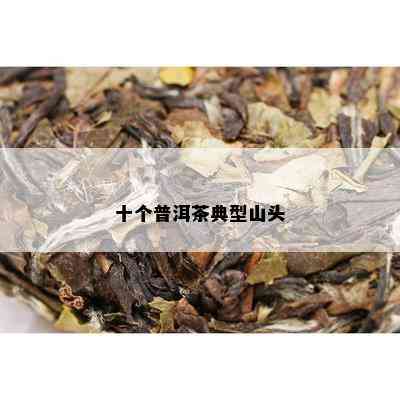 十个普洱茶典型山头