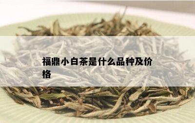 福鼎小白茶是什么品种及价格