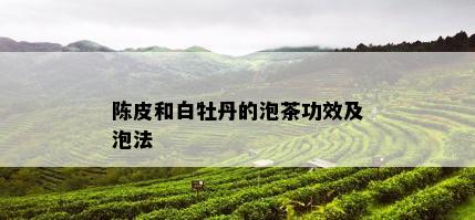 陈皮和白牡丹的泡茶功效及泡法