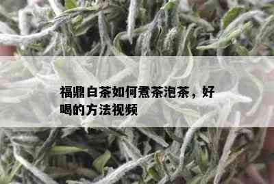 福鼎白茶如何煮茶泡茶，好喝的方法视频