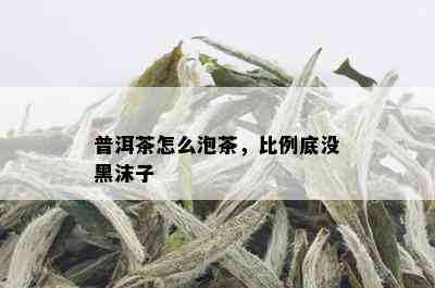 普洱茶怎么泡茶，比例底没黑沫子