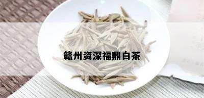 赣州资深福鼎白茶