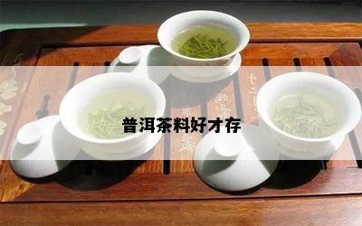 普洱茶料好才存