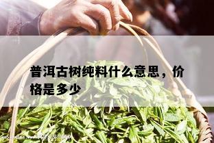 普洱古树纯料什么意思，价格是多少