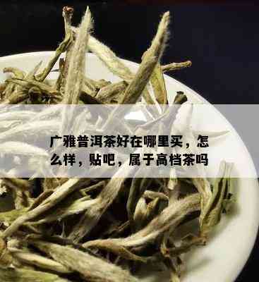 广雅普洱茶好在哪里买，怎么样，贴吧，属于高档茶吗