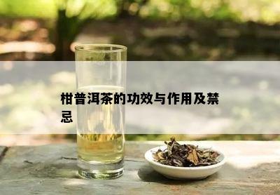 柑普洱茶的功效与作用及禁忌