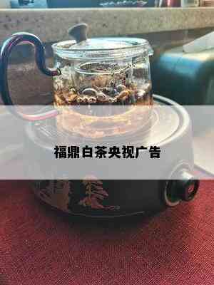 福鼎白茶央视广告