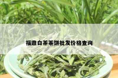 福鼎白茶茶饼批发价格查询