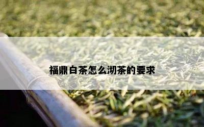 福鼎白茶怎么沏茶的要求