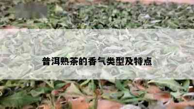 普洱熟茶的香气类型及特点