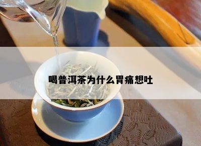 喝普洱茶为什么胃痛想吐