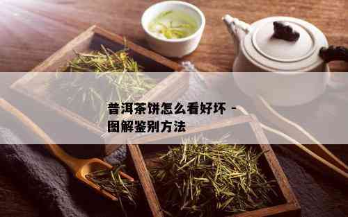 普洱茶饼怎么看好坏 - 图解鉴别方法