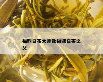 福鼎白茶大师及福鼎白茶之父