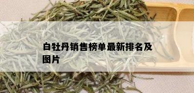 白牡丹销售榜单最新排名及图片