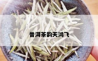 普洱茶韵天鸿飞