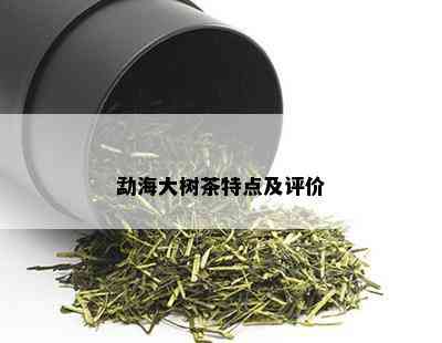 勐海大树茶特点及评价