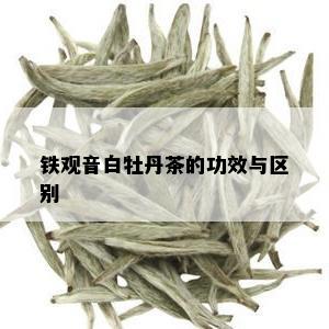 铁观音白牡丹茶的功效与区别