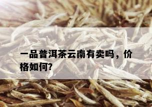 一品普洱茶云南有卖吗，价格如何？