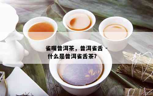 雀嘴普洱茶，普洱雀舌 - 什么是普洱雀舌茶？