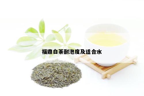 福鼎白茶耐泡度及适合水