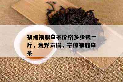 福建福鼎白茶价格多少钱一斤，荒野贡眉，宁德福鼎白茶