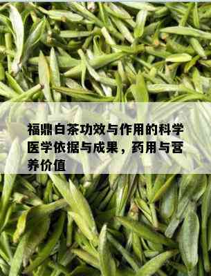 福鼎白茶功效与作用的科学医学依据与成果，药用与营养价值