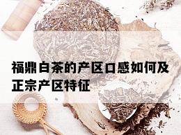 福鼎白茶的产区口感如何及正宗产区特征