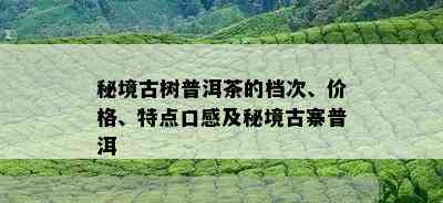 秘境古树普洱茶的档次、价格、特点口感及秘境古寨普洱