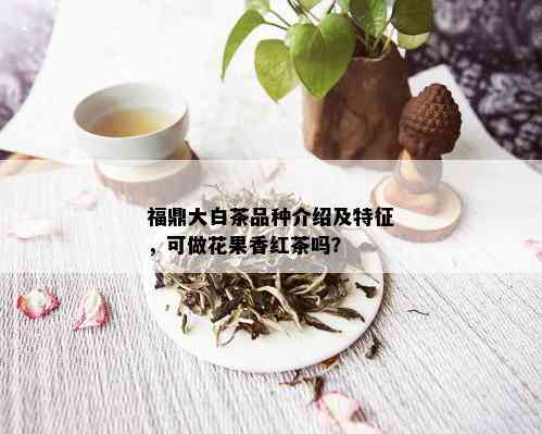 福鼎大白茶品种介绍及特征，可做花果香红茶吗？