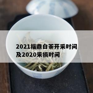 2021福鼎白茶开采时间及2020采摘时间