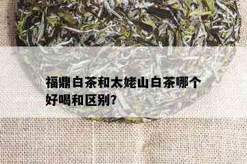 福鼎白茶和太姥山白茶哪个好喝和区别？