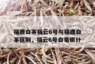 福鼎白茶福云6号与福鼎白茶区别，福云6号白毫银针