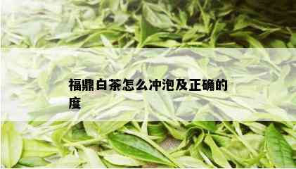 福鼎白茶怎么冲泡及正确的度