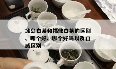 冰岛白茶和福鼎白茶的区别、哪个好、哪个好喝以及口感区别