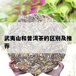 武夷山和普洱茶的区别及推荐