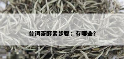 普洱茶酵素步骤：有哪些？